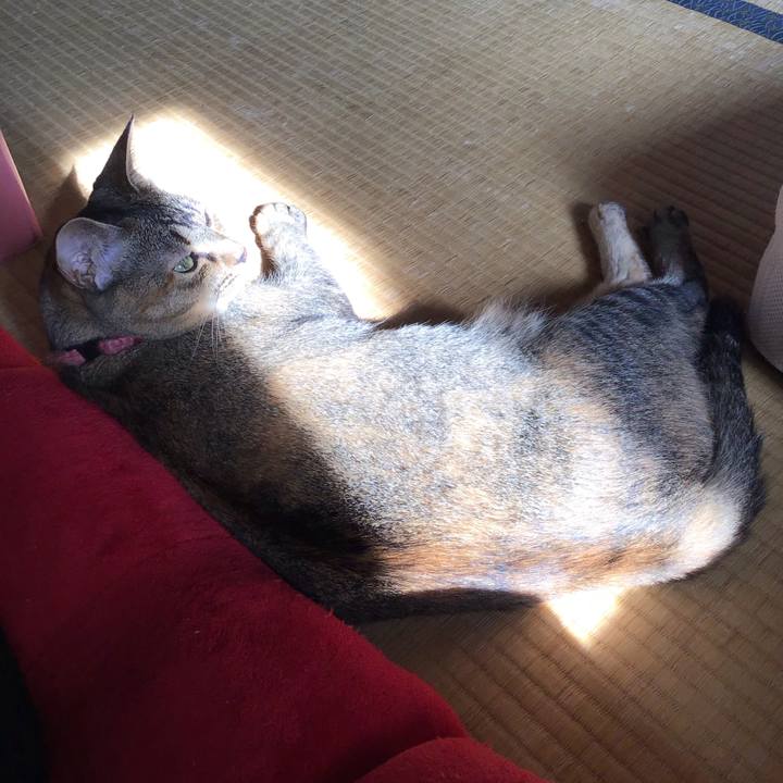 Aabd7103 e937 492f 94ee 0fc50a634d87 1596764222811