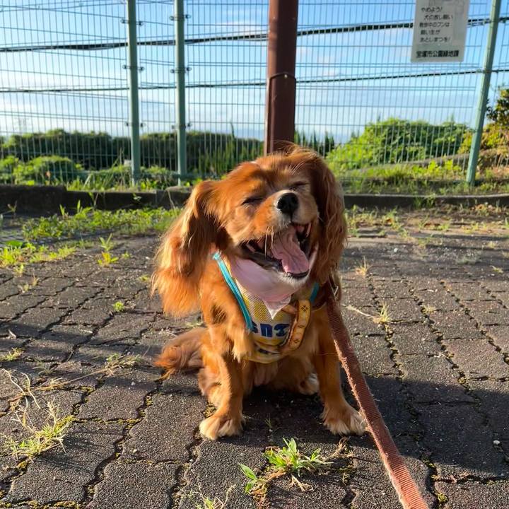 Aabd9d05 feb8 4542 a195 f7861ba2dd6c 1659223307855