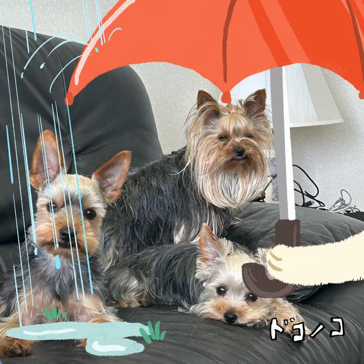 Aabde01b fb56 4b66 af93 50a855fb9795 1749301088813