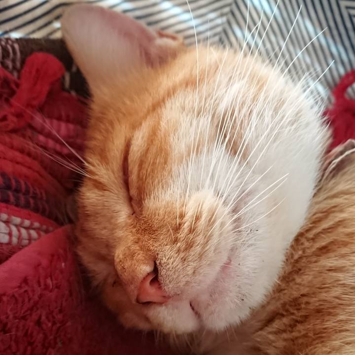 Aabdf636 e38c 4cad 8f83 798a6d577ebc 1567909005893