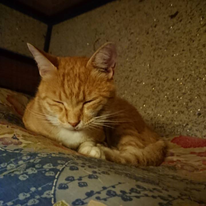 Aabe3790 d5a9 4416 92c4 171cd263d767 1596200916083