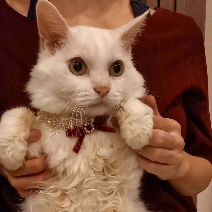 Aabe663f a217 4853 9ae3 56f302e82223 1634351486311