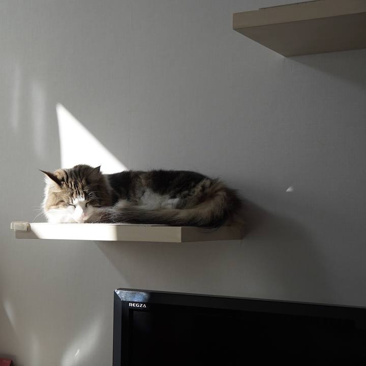 Aabe8ad1 2687 44d1 9fd0 d792e01162e4 1603604194001