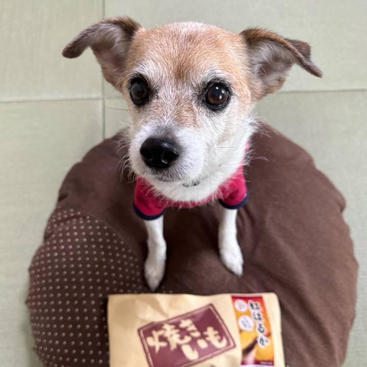 Aabecc6a 7d6d 4e4b a77f 9c50019b25ac 1668752542881