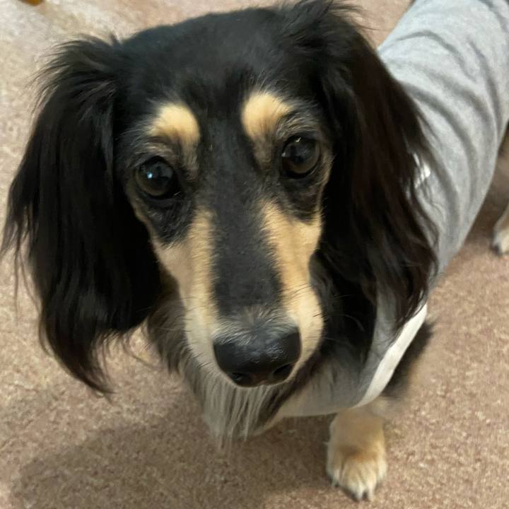 Aabf06c8 e22b 4477 bae1 a88b588510ba 1747902434414