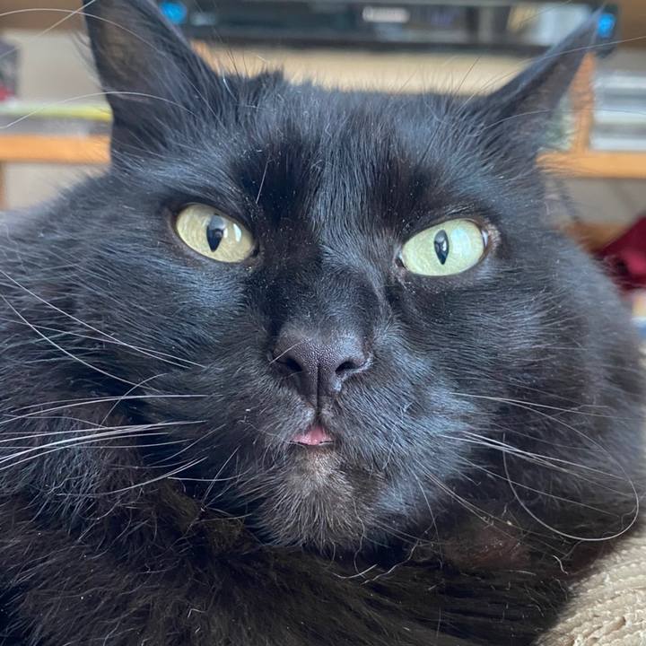 Aabf1238 8e4f 4562 939f df7d7768adb5 1612144492881