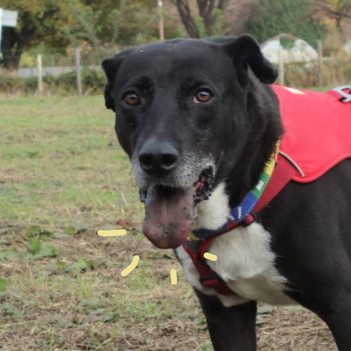 Aabf168a c032 4d95 a29e 8afe4c2a3d1e 1668732969594