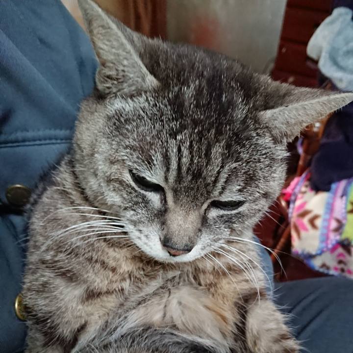 Aabf1a69 5ce7 4add aa69 35cb933322dd 1557439296120