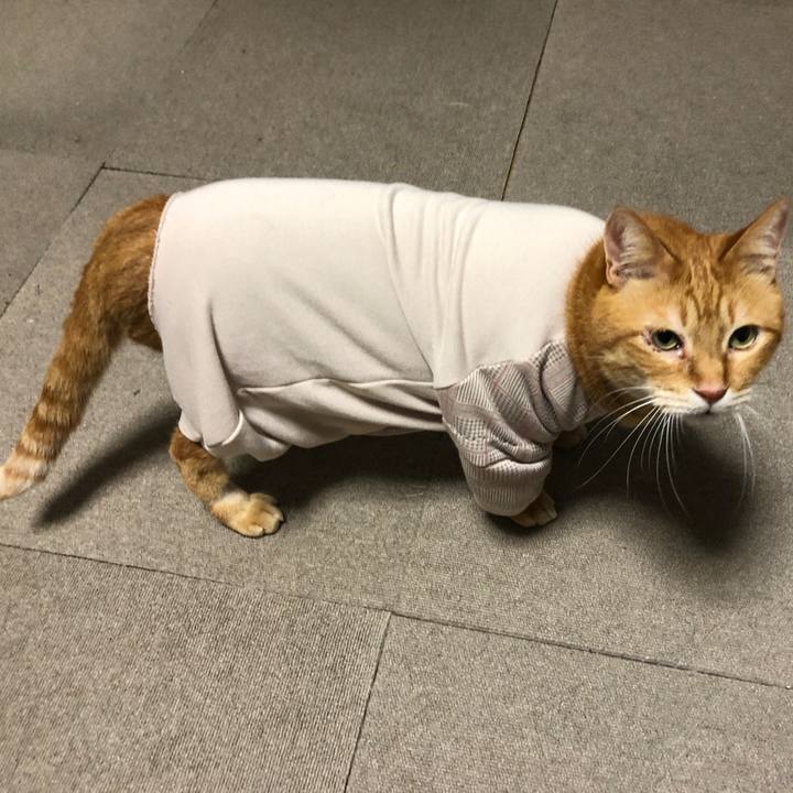 Aabf466f 8481 4d6a 83a3 cf51848d33bc 1682159150088