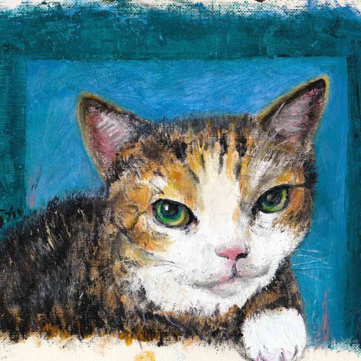 Aabf4c69 963e 4755 83a9 3a9080c561c5 1580657450890