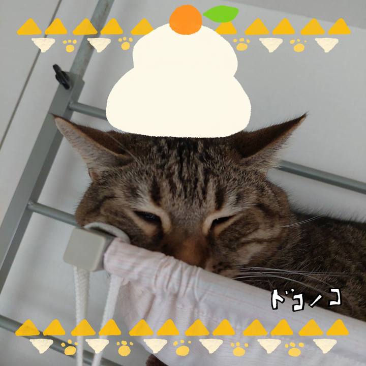 Aabf9a6e bf75 4638 94e4 39eca72d4384 1704327554213