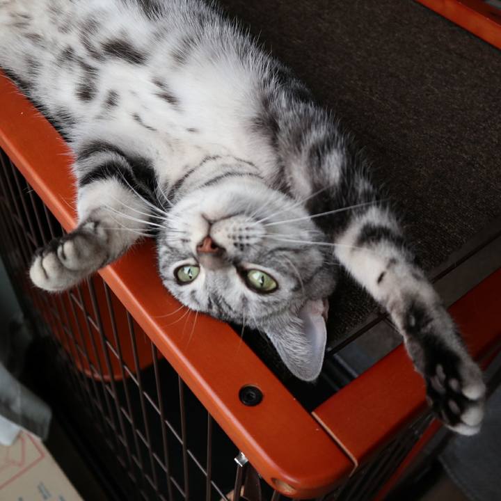 Aabfb0f8 a130 4b37 b015 922b9745202b 1589459992215