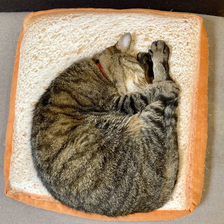 Aabfd640 78ac 45f1 b2fb 4e4a9a154df1 1634769854606