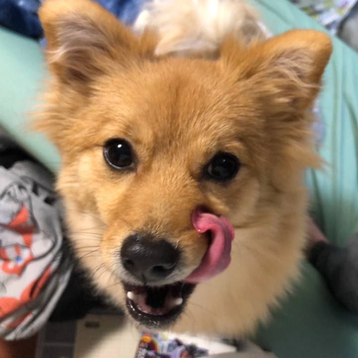 Aabfe57c 3376 4b39 9e56 bb9457d01dfb 1607863375066