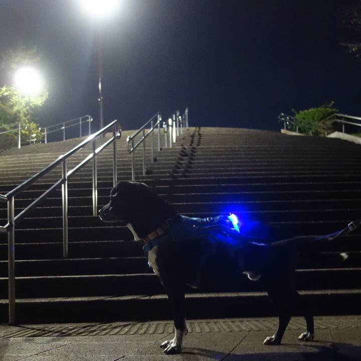 Aac000bf 9957 426c a520 a5cd279e2d92 1697972806925