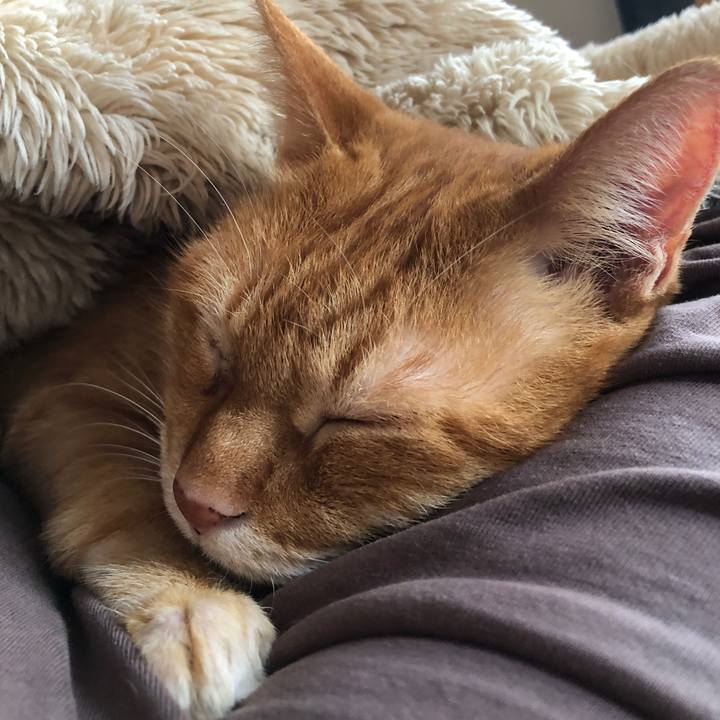 Aac01269 5b91 454b 878a 218c7d5ed97e 1699164890849