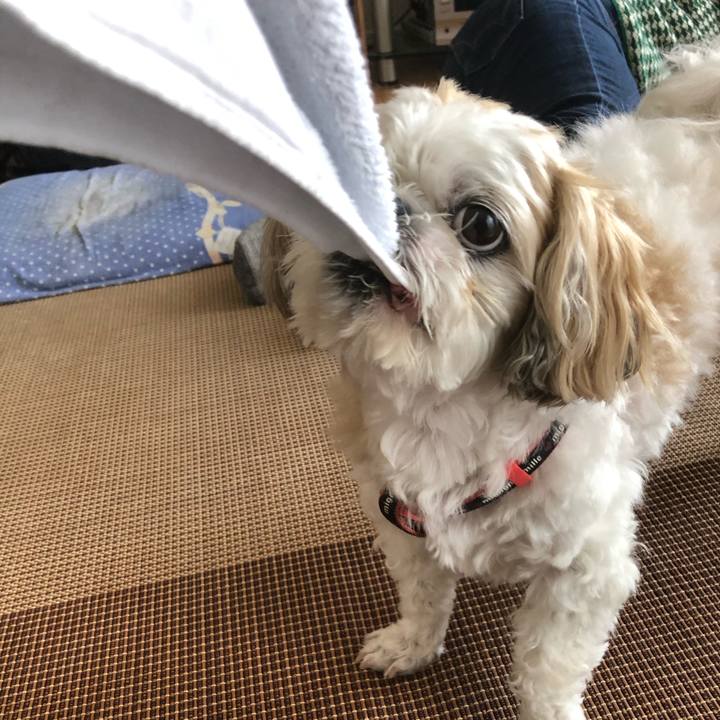 Aac04a3e 5e13 48f9 89e8 e1f83fc0be25 1590356874612