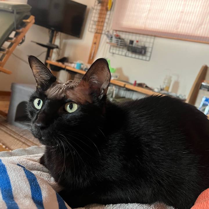 Aac058b3 0943 4015 8d3c 70d2a36b7ba6 1762143397279