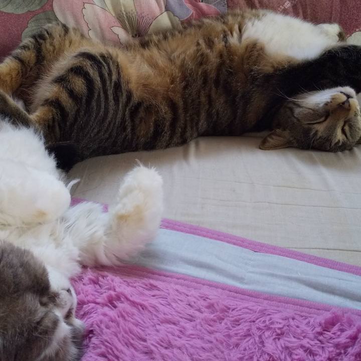 Aac05c87 f8a7 4ec1 b6c3 143d720fe83e 1650440568232