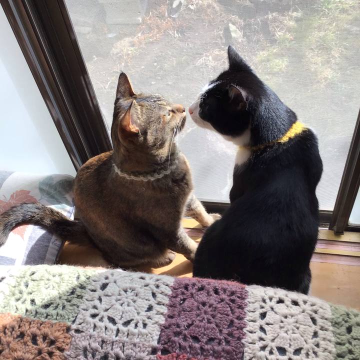 Aac06832 0973 4e44 a157 35ccbbe291d5 1647315074662