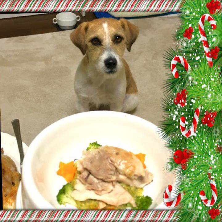 Aac089eb 57fa 471c aebe 964ca1738c26 1545743393145