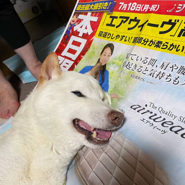 Aac09d87 bd3d 444f b911 ea14ff59af08 1658148239156