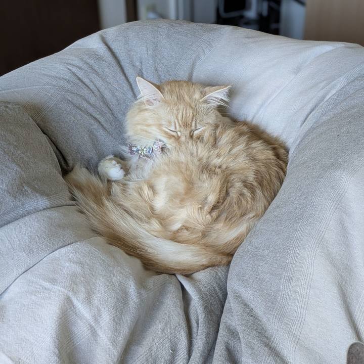 Aac0bcaa a1b3 461c b275 d95ff22f1729 1761618021463