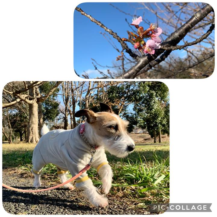 Aac0dc2c 58cb 4c7e 83b0 b8e779cc322a 1612868036031