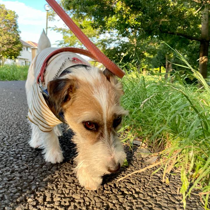 Aac11369 b061 4cd8 bce8 0e30b52c0223 1626868952021