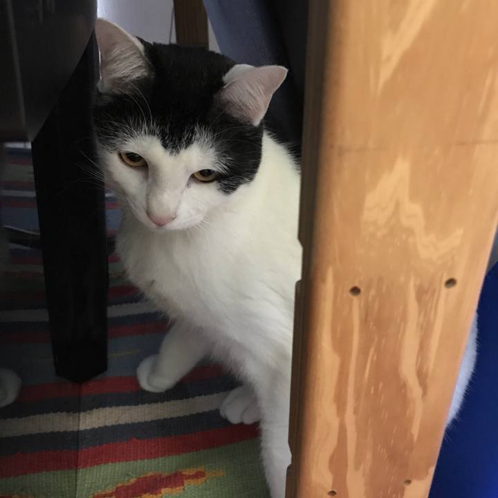 Aac1239a 6f12 4372 a781 0a3ace567993 1523350160181