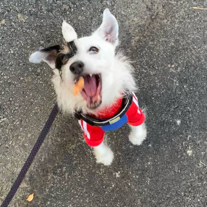 Aac12da6 18de 4e7e 93b7 3058031f2b49 1734392507843