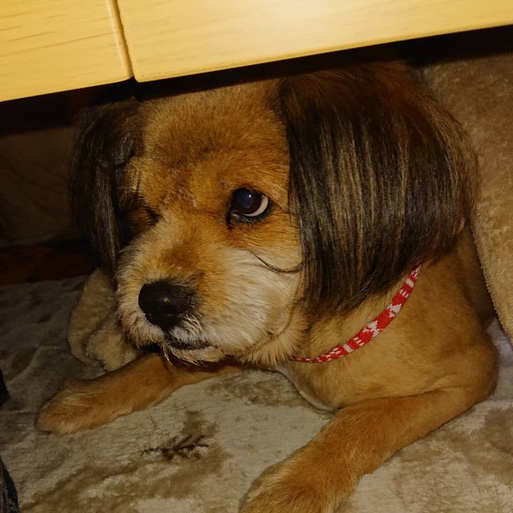 Aac1422b 184c 47df 8325 af2ee8afd60c 1544071771545