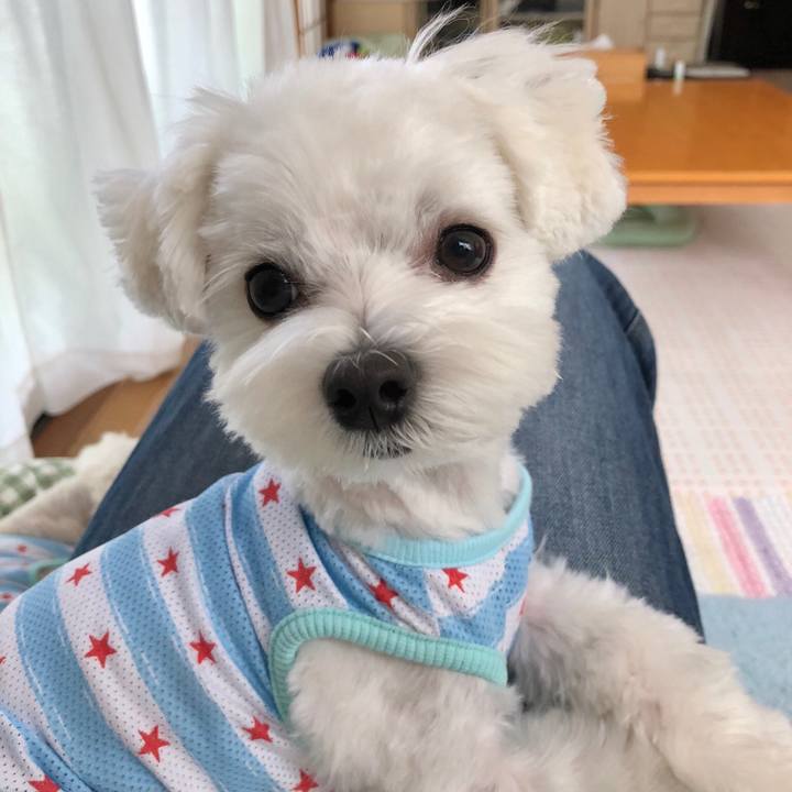 Aac155a9 453f 4b93 a432 fd6783fc21e2 1525567361088