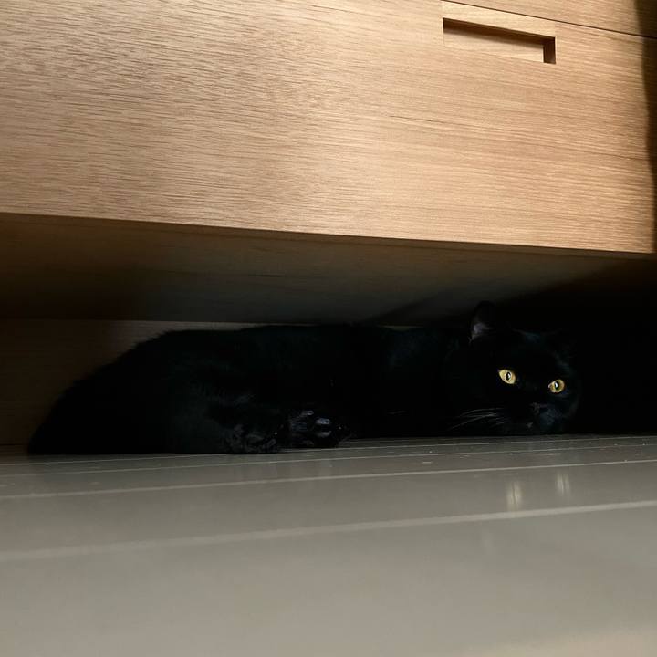 Aac18ced 3331 4caa bfbc 71fbcacdbb90 1752654386041