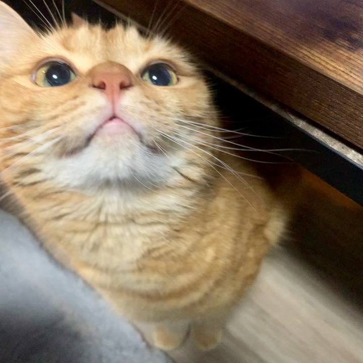 Aac1c34d de19 413c aacb 57c4bce902ce 1661330653315