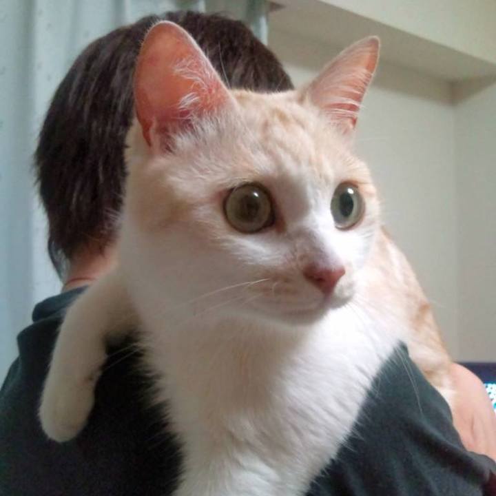 Aac206a6 ca12 435a 845b f1adbf53748d 1642850904598