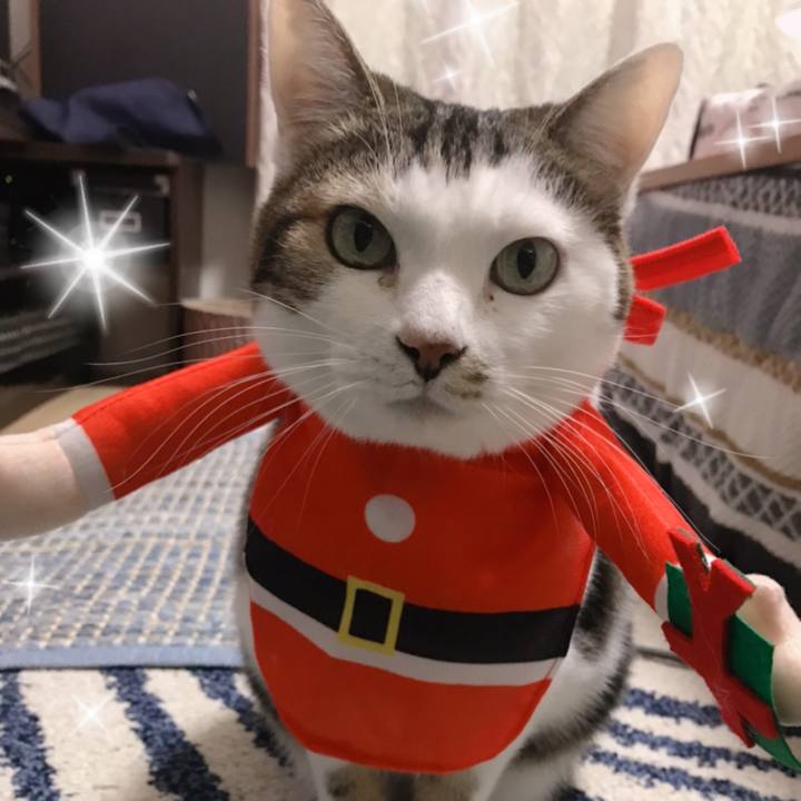 Aac235e7 9b7b 4463 9f24 d85d31e037bd 1577243706201