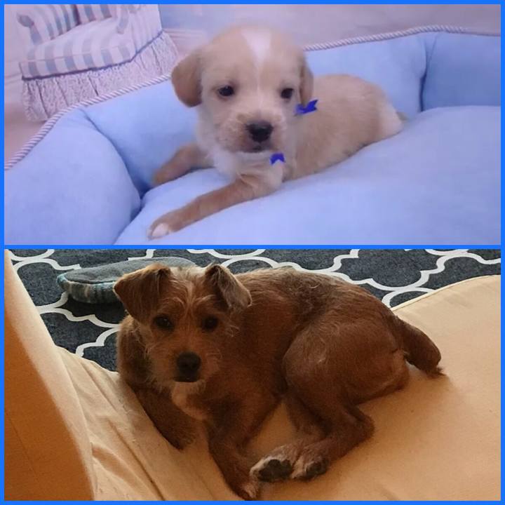 Aac23cae 9ef2 46d4 bb88 45ffc3edc6bd 1527477199333