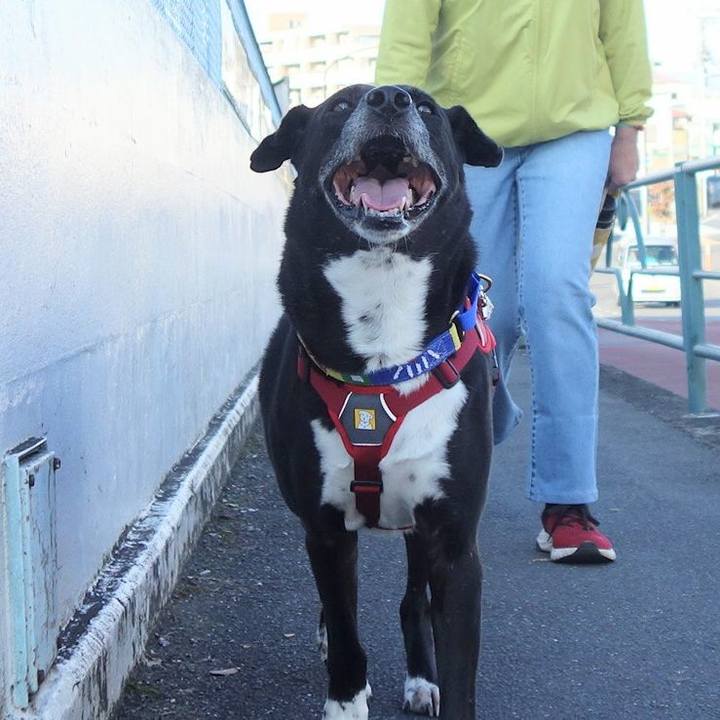 Aac2539a eeb7 4dbd bb9f 5a9ec4dbcde5 1666486658351