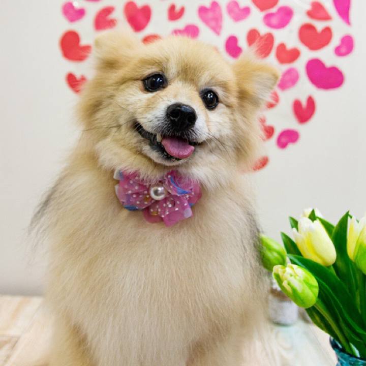 Aac29b1e fe02 4fca 9158 af727df9a32d 1676474885766