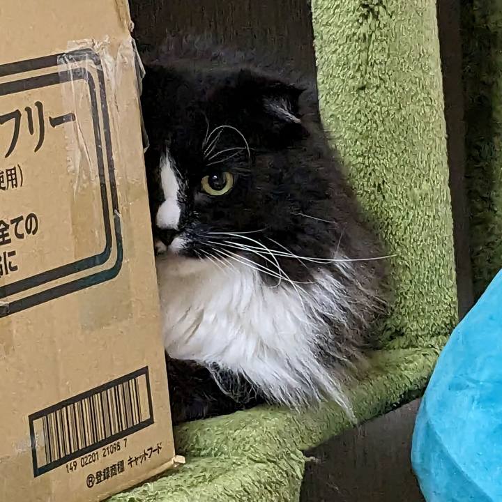 Aac2de54 f2b5 44c3 97f4 ed76c2783d58 1680261233959