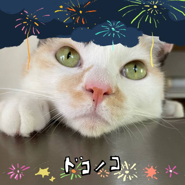 Aac2f6e0 a46f 41ff 8bf9 698fe680715f 1723437545713