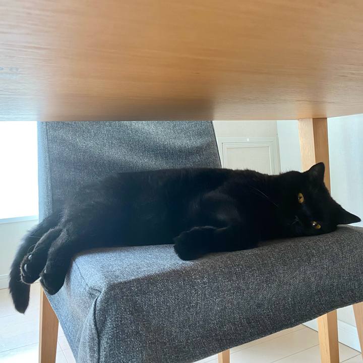 Aac3362b 61ca 44e8 b32b 070d9a2c2128 1723620550540