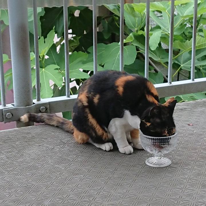 Aac3435c a943 4f71 95e0 bb403a3cdbcc 1528934109203