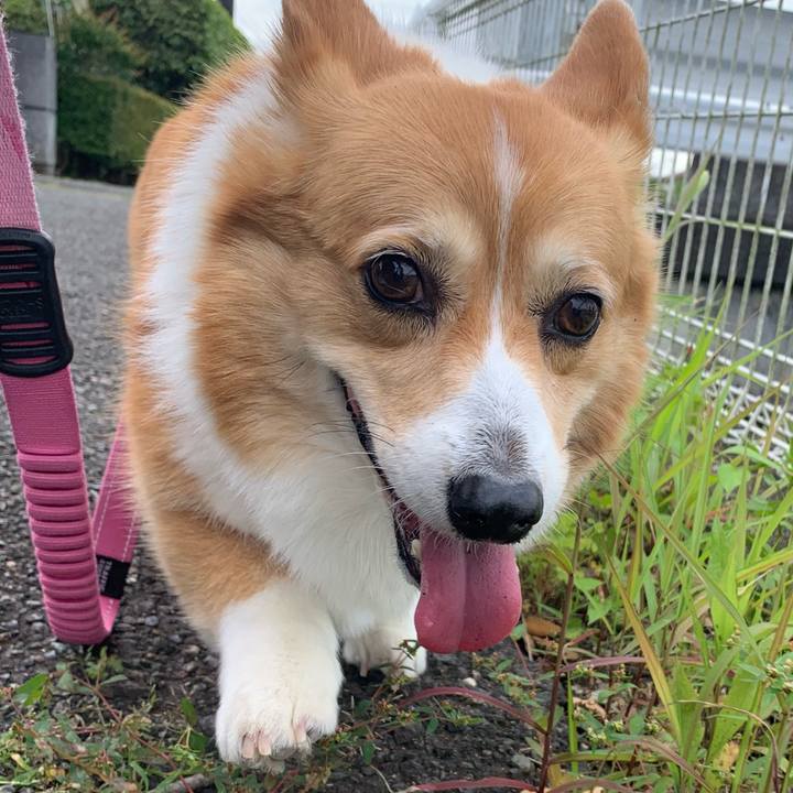 Aac35dd3 1413 4026 85fd a05a7a06dd6c 1685498581603