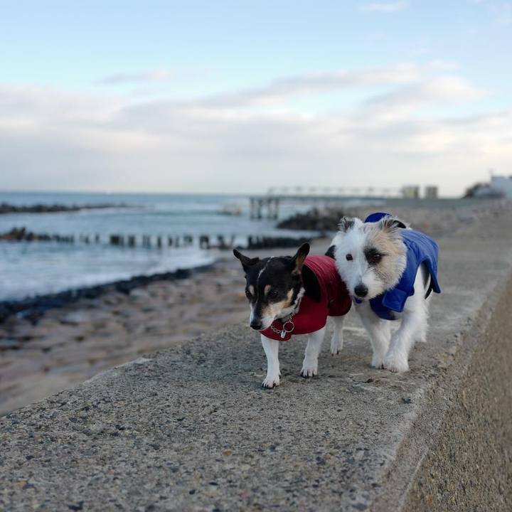 Aac3633e c9bd 46bd 9dfe 6cd93c4e7521 1640401314477