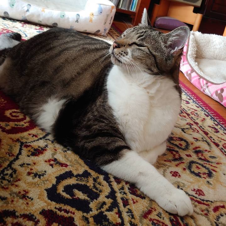 Aac36a48 68df 4538 b0a2 7e420c214699 1700870328912