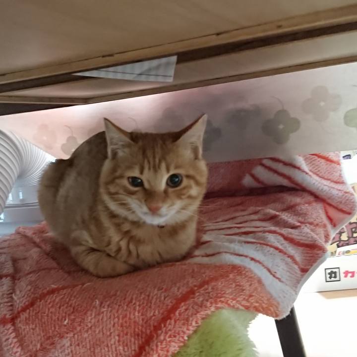 Aac37570 68c3 4771 8323 e6907ed115ef 1635811290916