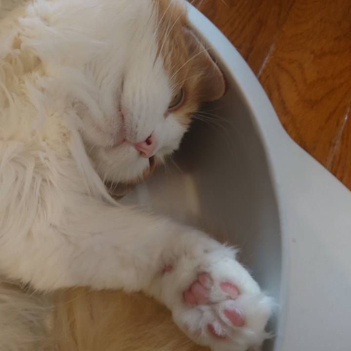 Aac37608 0984 4244 86a8 5ebcce8ae849 1659074607511