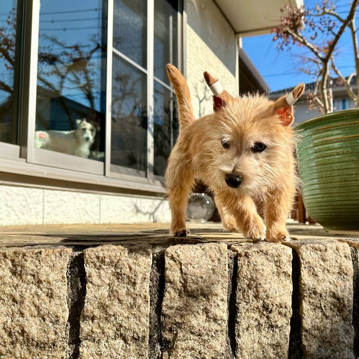 Aac379f8 72f4 487d 961a 80149c7513b2 1705150859979